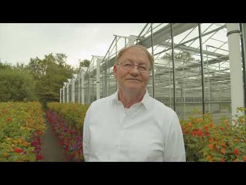 Blumenkübel für Düsseldorf - Zu Besuch beim Hauptbetriebshof des Gartenamtes in Düsseldorf-Lohausen