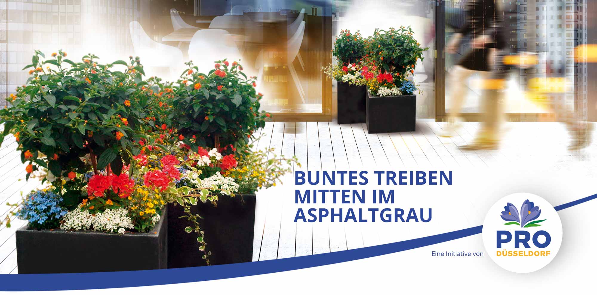 BlumenOasen "Buntes Treiben mitten im Asphaltgrau"