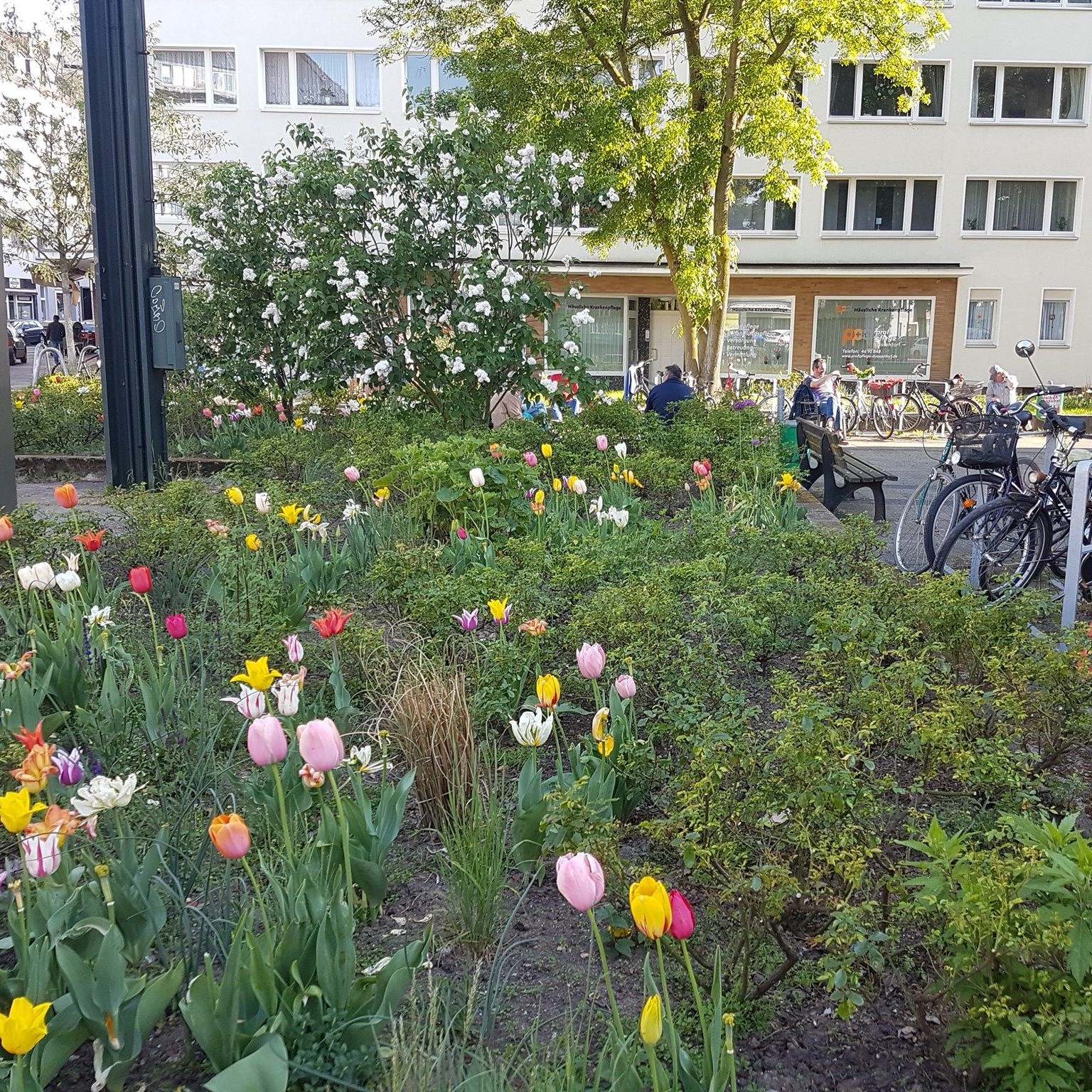 Aktion Hochzeitswiese