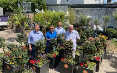 500 Blumenoasen für die Stadtteile