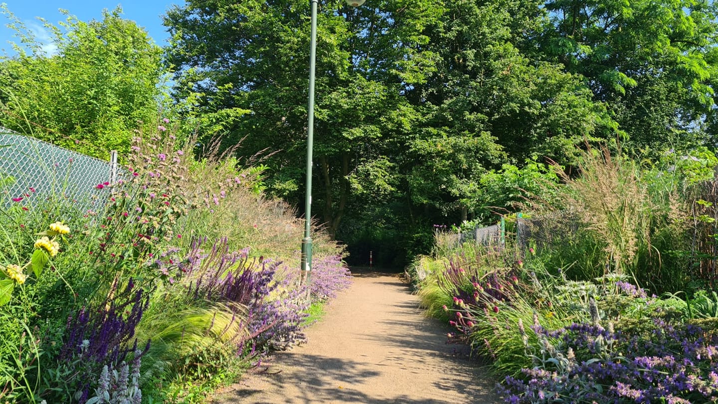 205535088_329613415455631_870015401144110499_n Das Blaue Band / Krokusfelder im Rheinpark