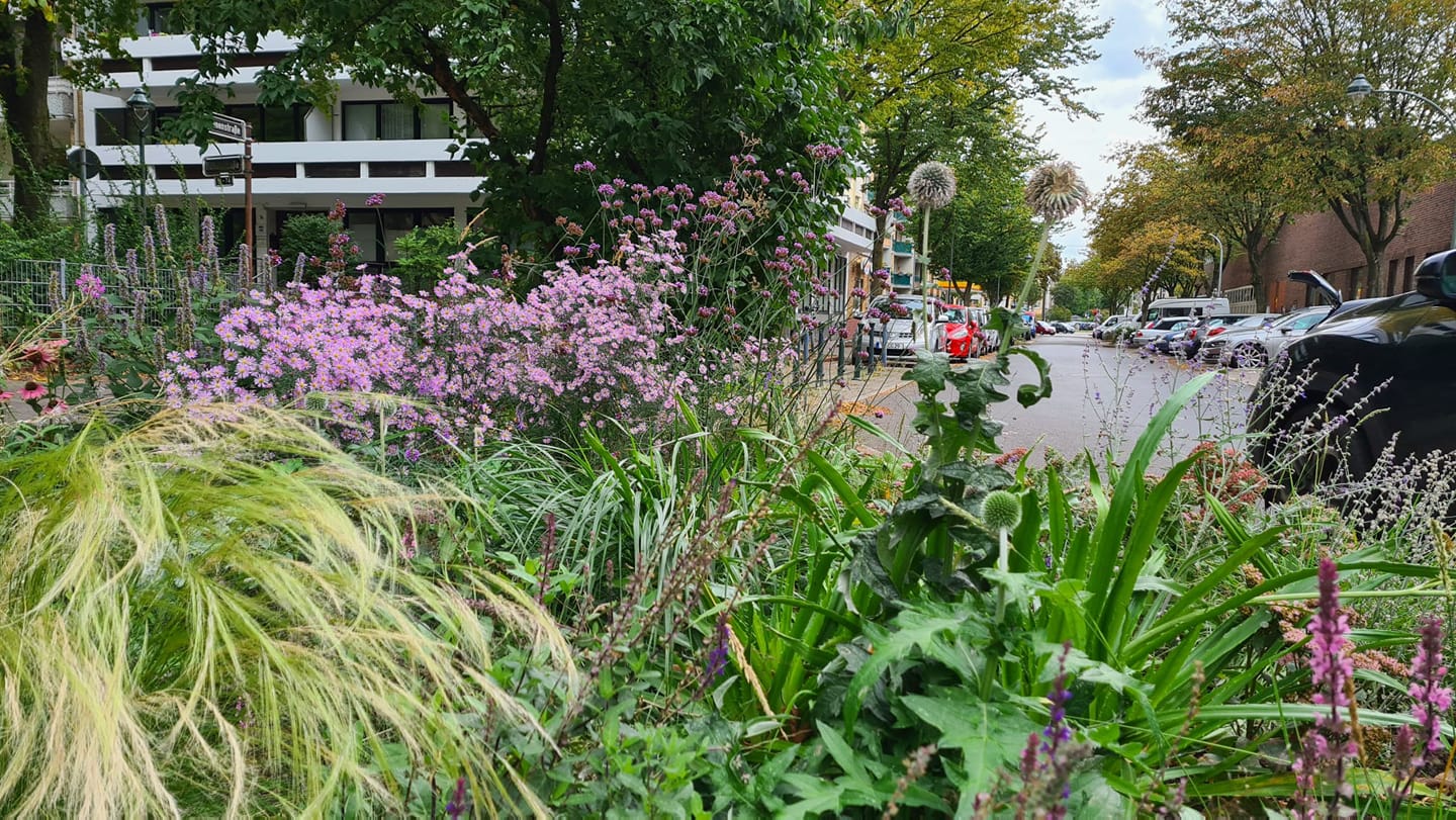 243824041_393477755735863_5625067157181968103_n Das Blaue Band / Krokusfelder im Rheinpark