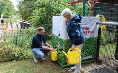 DÜSSELDORF: STADT VERGIBT 50 REGENWASSERSAMMELCONTAINER AN GIESSKANNENHELD*INNEN