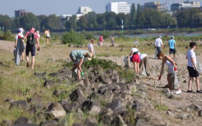 MEHR ALS 6000 MENSCHEN PACKEN BEIM RHINECLEANUP IN DÜSSELDORF MIT AN