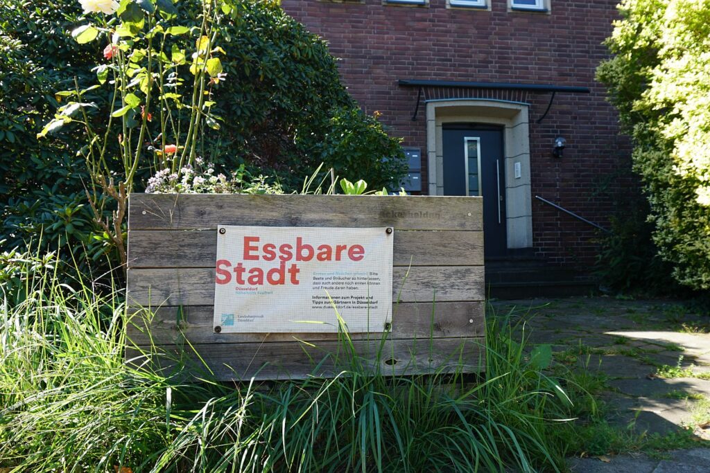 „Essbare Stadt“ Düsseldorf: Kostenlose Hochbeete für Bürger*innen