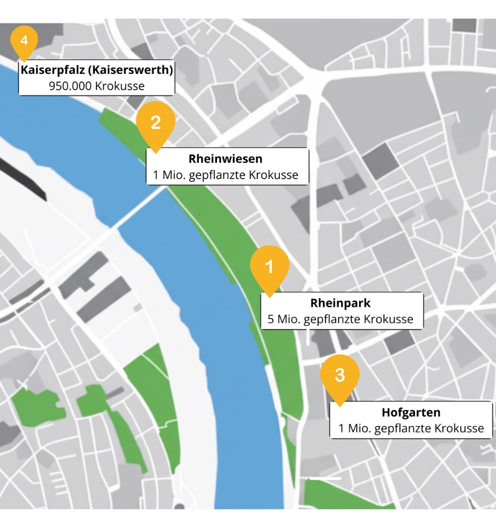 Standorte der Krokuspflanzungen in Düsseldorf und Kaiserswerth Vektorkarte von Düsseldorf: Rheinverlauf mit vier markierten Standorten des Blauen Bandes.