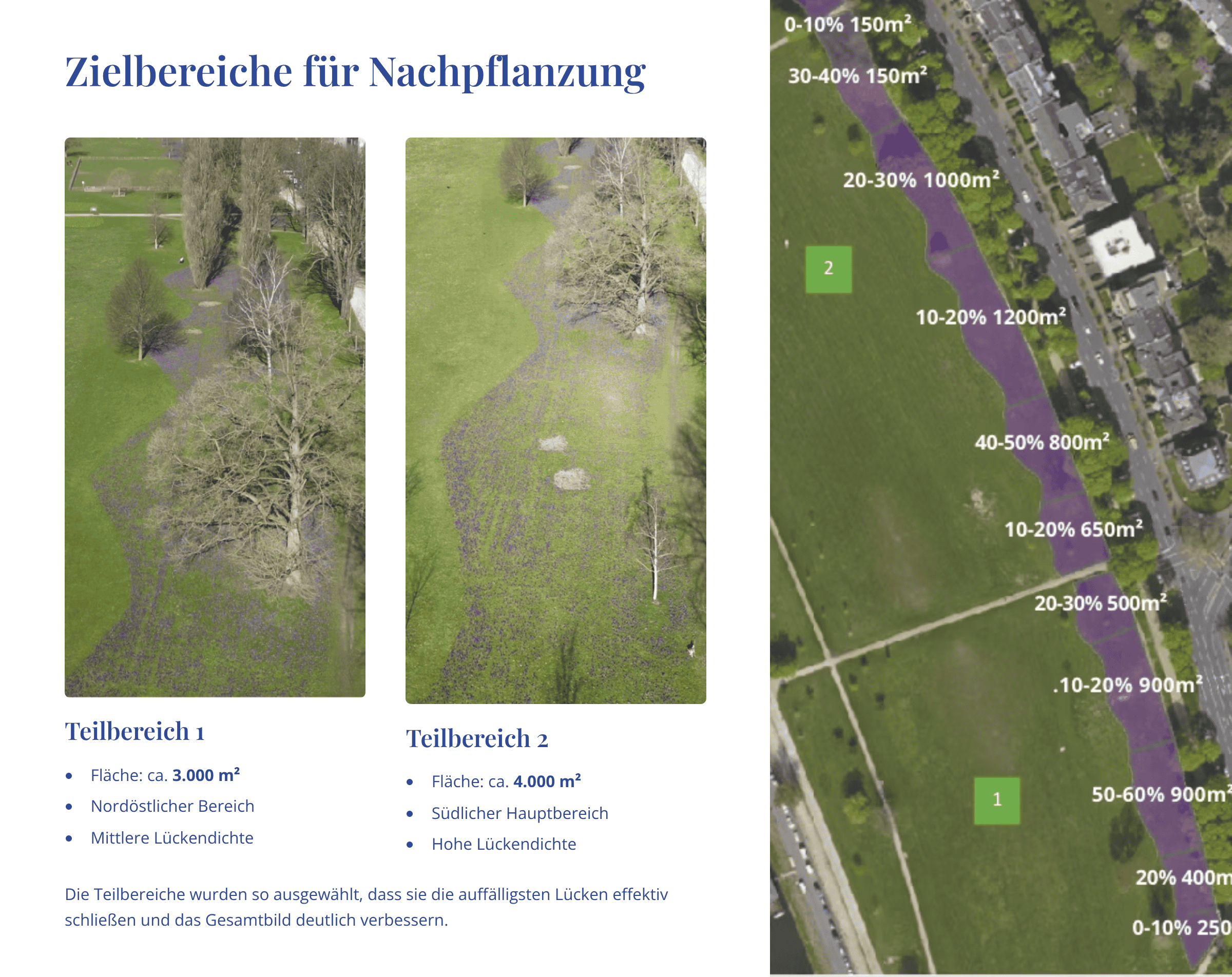 blaues-band-zielbereiche-fuer-nachpflanzung-2025 Zielbereiche für die Nachpflanzung der Krokusse im Bereich Süd
