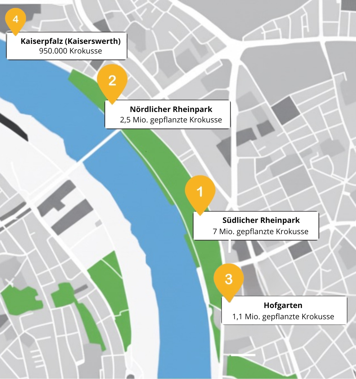 Vektorkarte von Düsseldorf: Rheinverlauf mit vier markierten Standorten des Blauen Bandes.