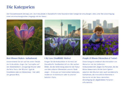 Fotowettbewerb zur Krokusblüte im Frühjahr 2026 - die Kategorien, Pro Düsseldorf e.V.